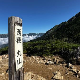 この辺りはまだまだ余裕です。
道も危険は無し。