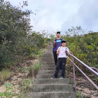 栂尾階段ノンストップで登れるかな？と挑みましたがムリ。

…体力落ちてます。
子供ではなくて私が…汗