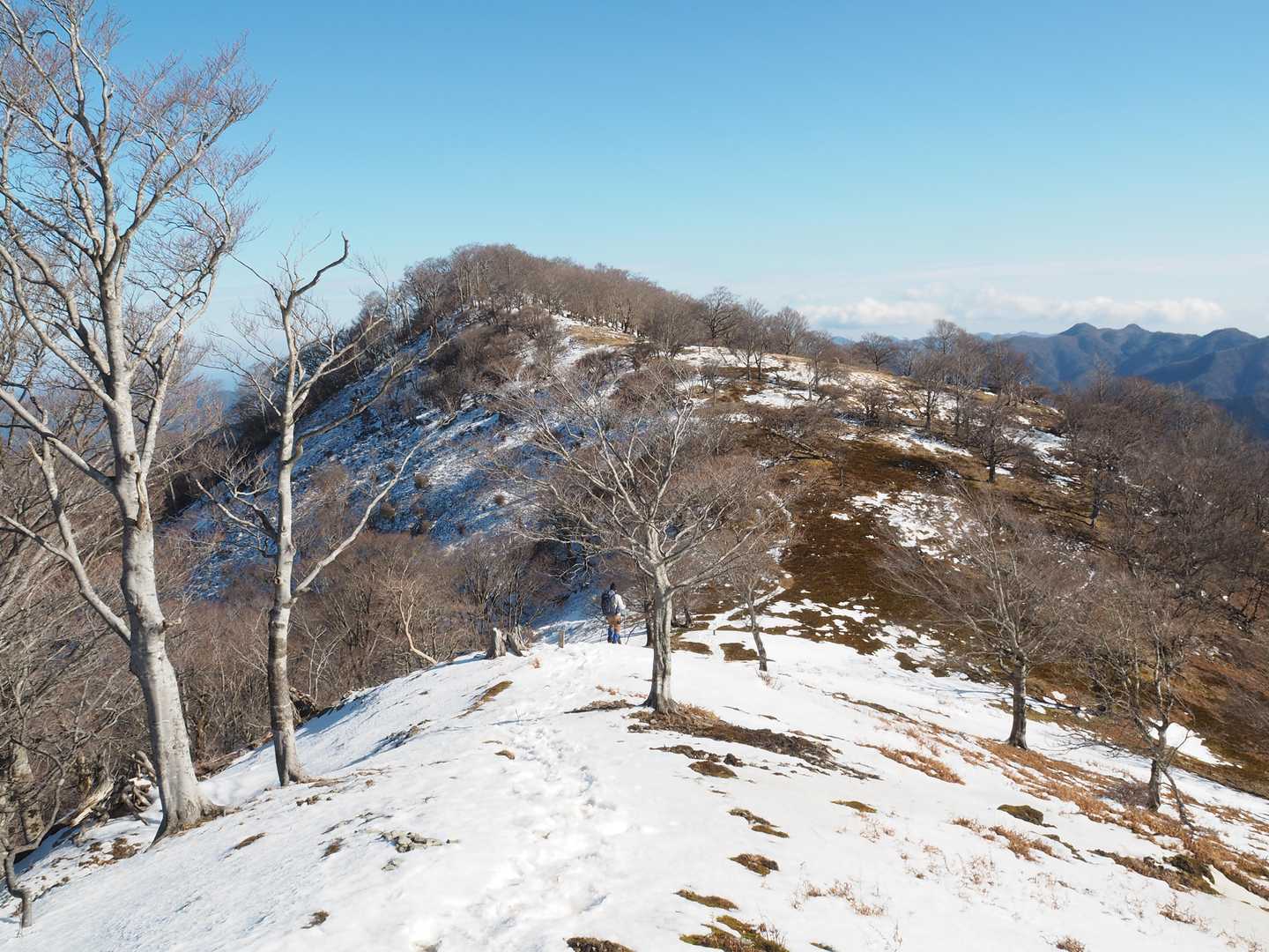 桧塚-桧塚奥峰 往復コースの写真