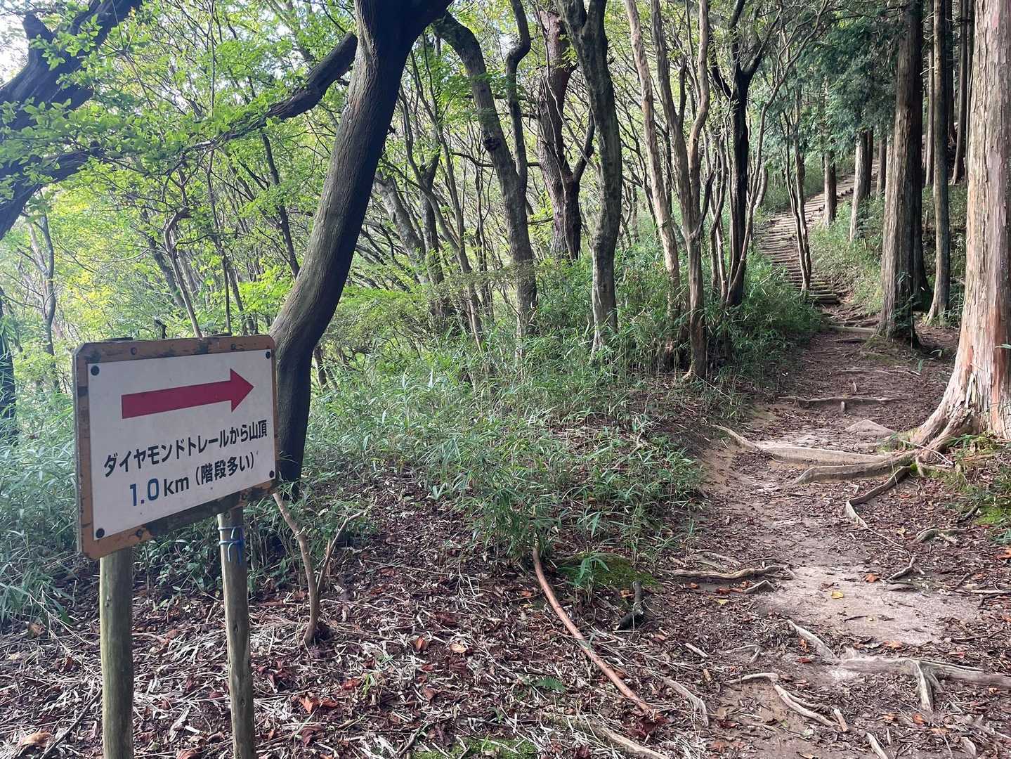 葛城ロープウェイ前バス停-葛城登山口駅-大和葛城山 往復コースの写真