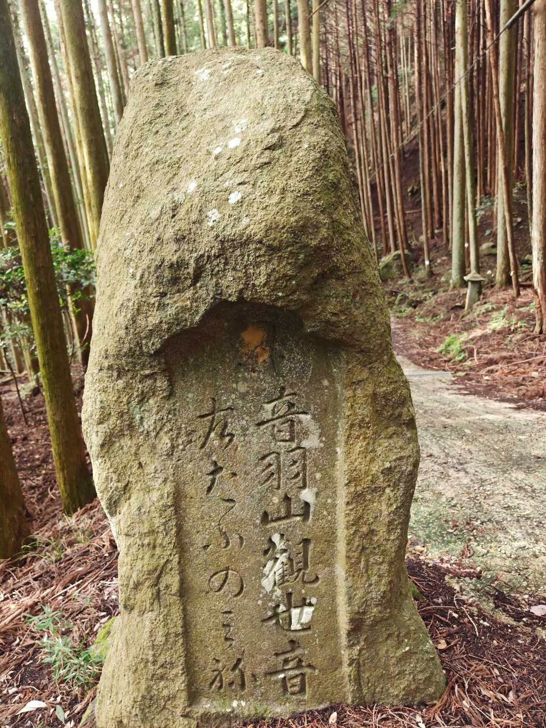 音羽山 往復コースの写真