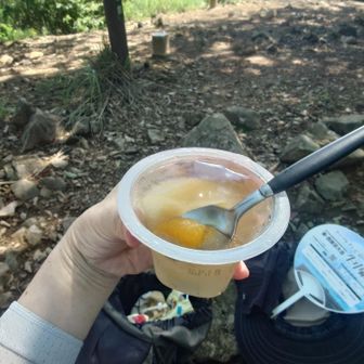 家で凍らせてきたゼリー、
シャリシャリで一気に汗が引きました