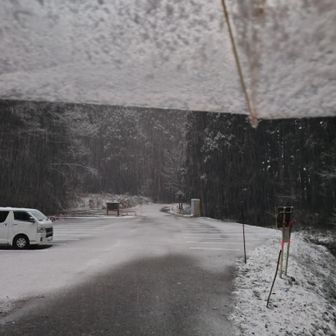一回コケたけど雪の上だったから汚れずにすんだ😮‍💨
📷️じゃ明るいけどかなり薄暗い。
さて、急いで実家帰ってごっつぉ食べなきゃ🦀🍣🍕😋
以上。