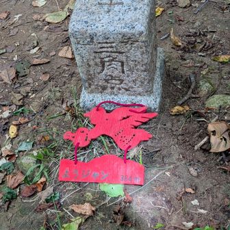 片平山　239m
△四等三角点＆「ようジャン」