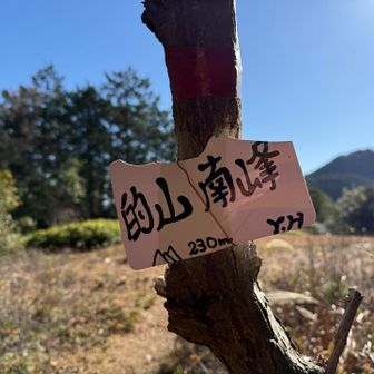 的山南峰10/12🧿