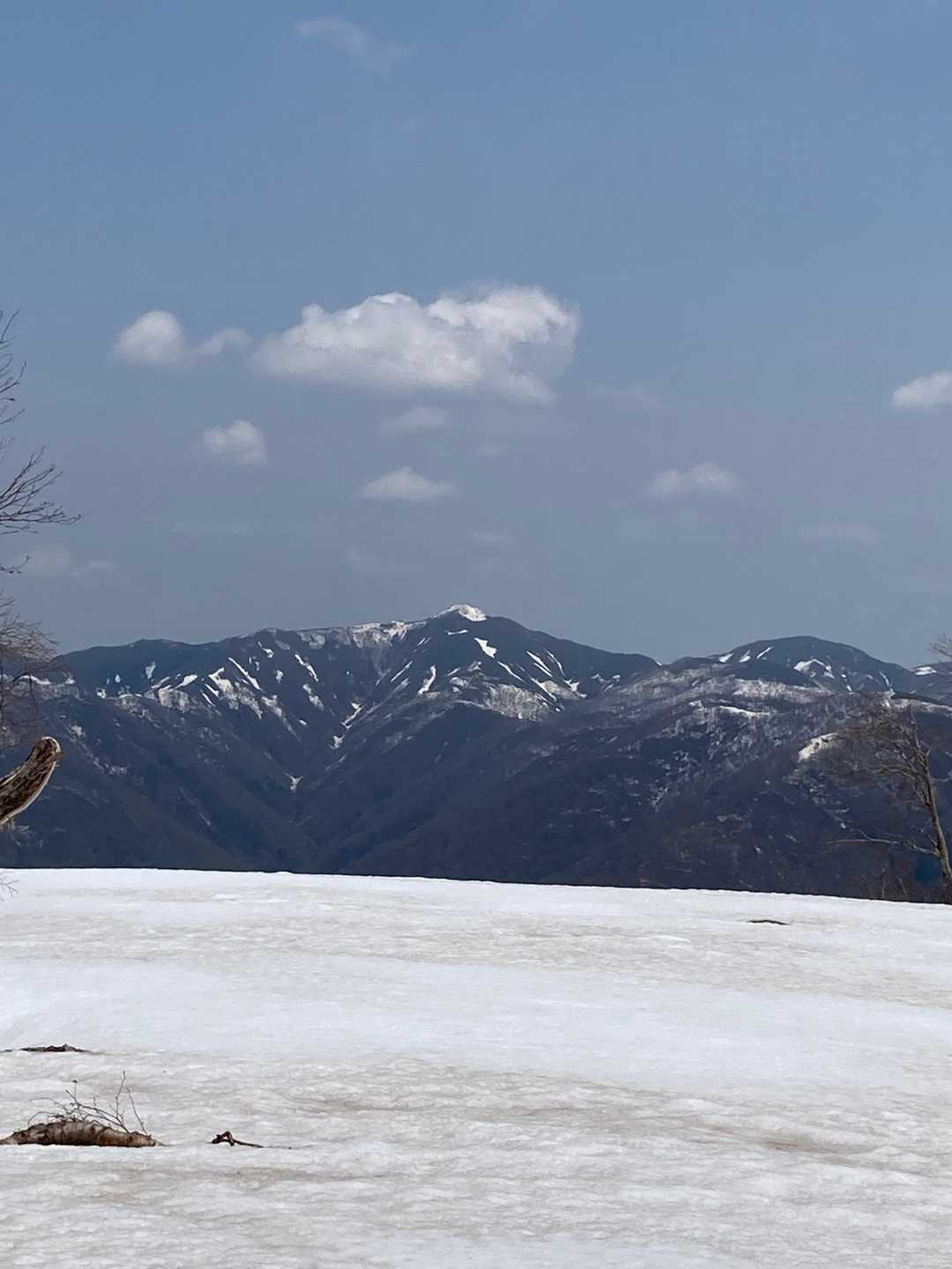 白岩岳（秋田県）の写真