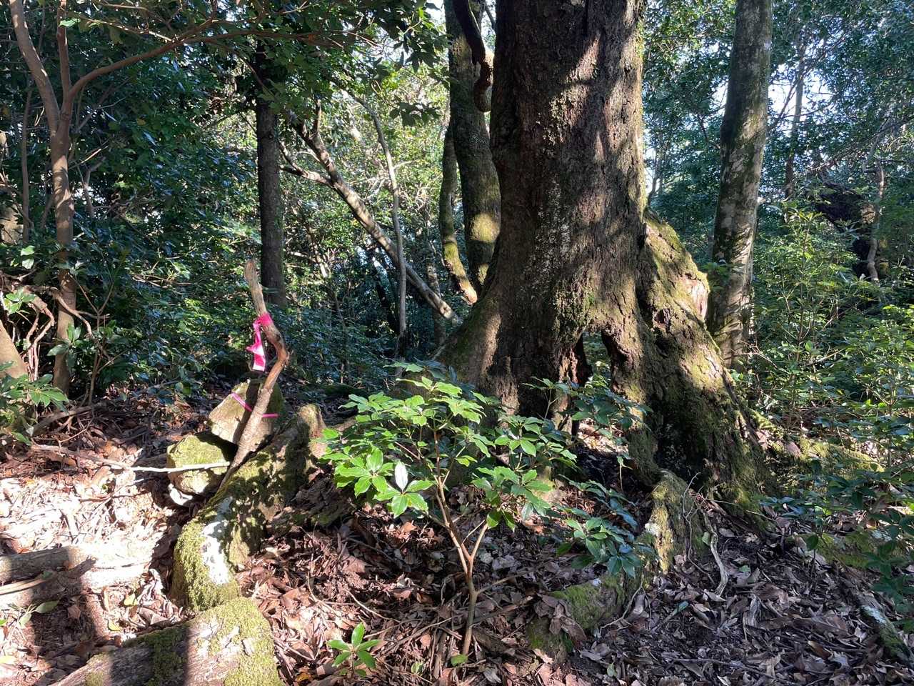 御岳（雌岳）
