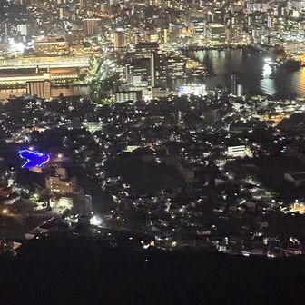 どうしたのか、人工物を極端に嫌うようになってるようです