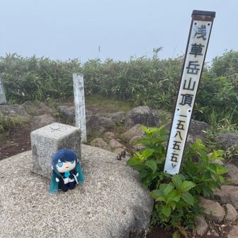 トンアク@Adoぬい