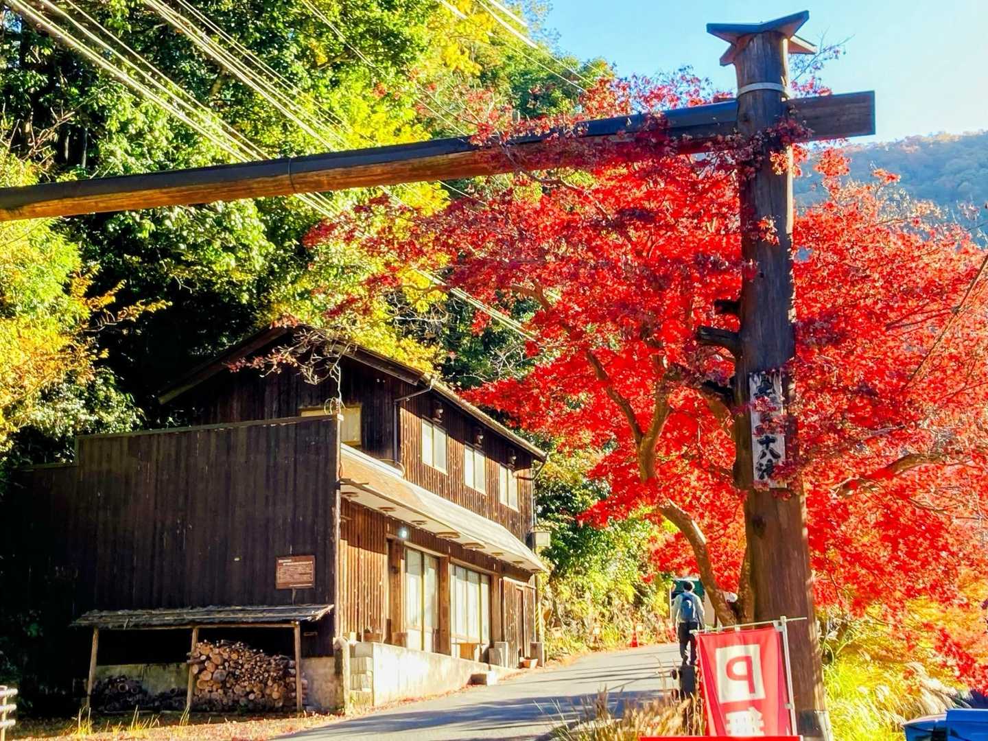 車を駐車場に停めてスタート
わくわく☺️