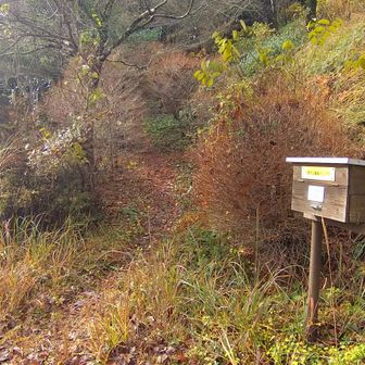 荒平山の第１駐車場の登山口からスタート