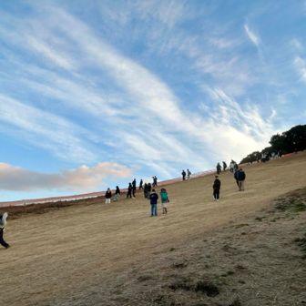今日は賑やかな基山🎶