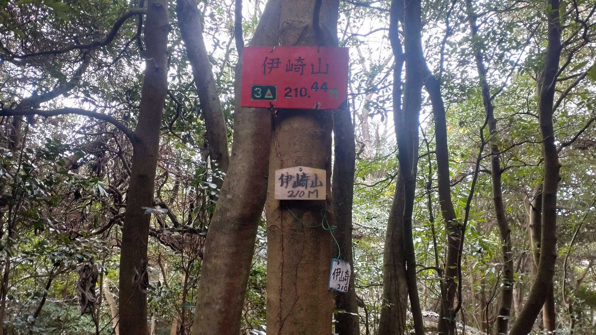 伊崎山山頂