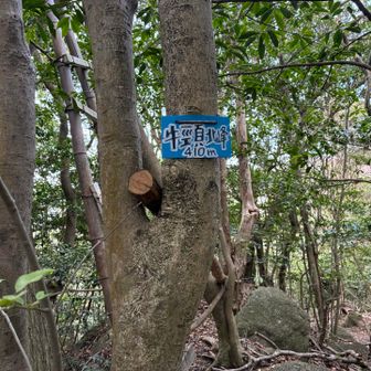 続いて三座目　牛頸北峰登頂です⛰️