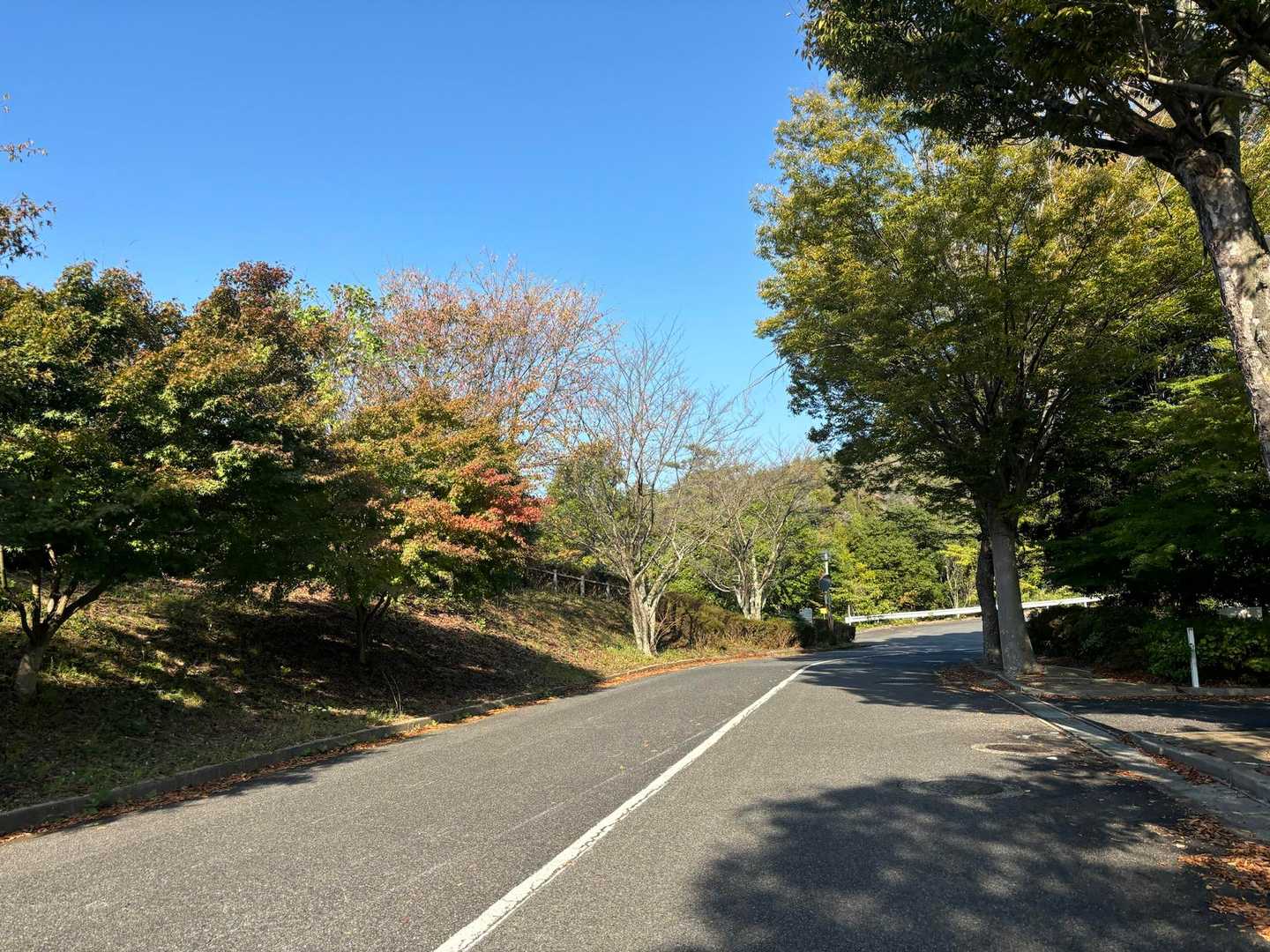 駐車場はいっぱい
運動公園もあるしキャンプもある