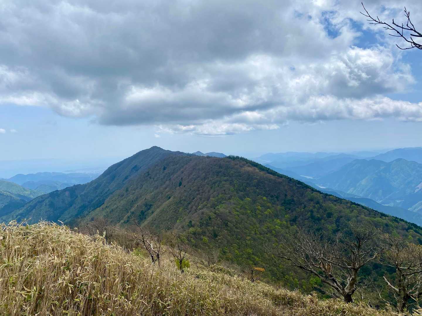 青笹山かな？　新緑が綺麗🤩　回ろうか？と
いいえ🙂‍↔️ この次で　笑