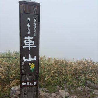 あっという間に到着。でも百名山一座獲得。