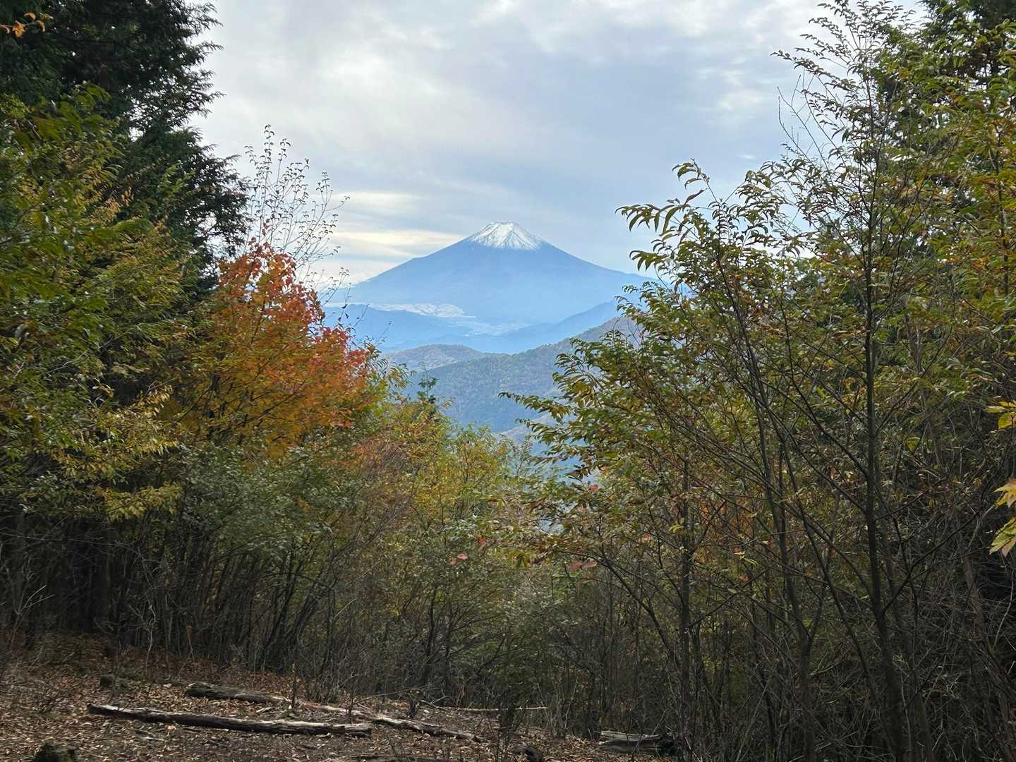 鶴峠-奈良倉山-松姫峠-鶴寝山-大マテイ山 縦走コースの写真