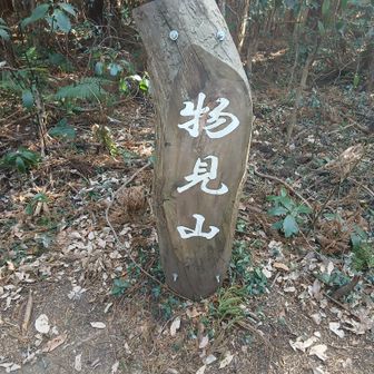 ③物見山