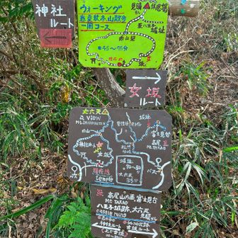 千手山を下ってからはロードを歩いて心源院へ
手書きの案内板がかわいい
道中も沢山ありました