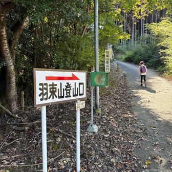 登山口まで車で楽々来れることの幸せ