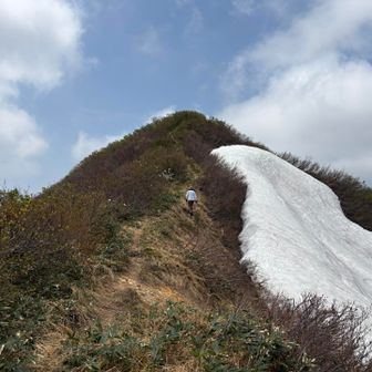 間もなく粟ヶ岳山頂