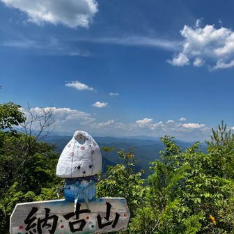 ノコリン、思っていたより大きくてびっくり‼️