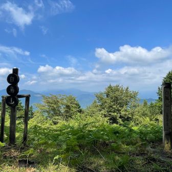 山百56
