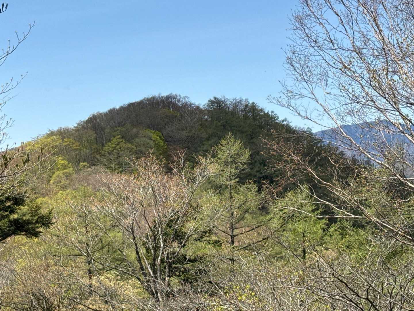 川苔山👀