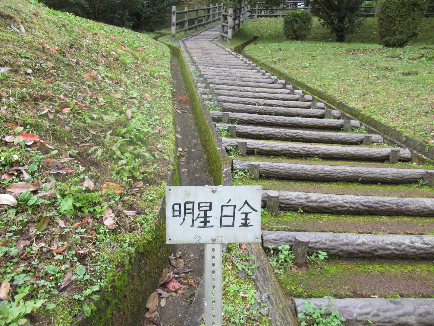 明星山へ・・・