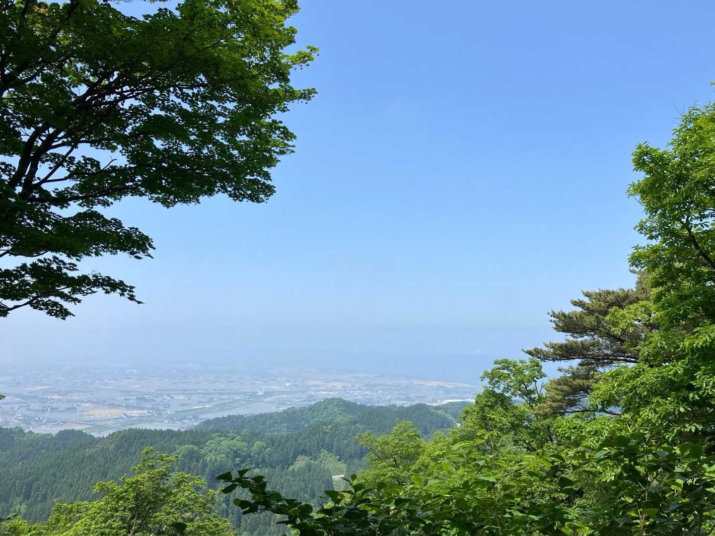 南保富士 往復コースの写真