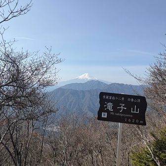 空気が霞んでいる…

季節は春へ…