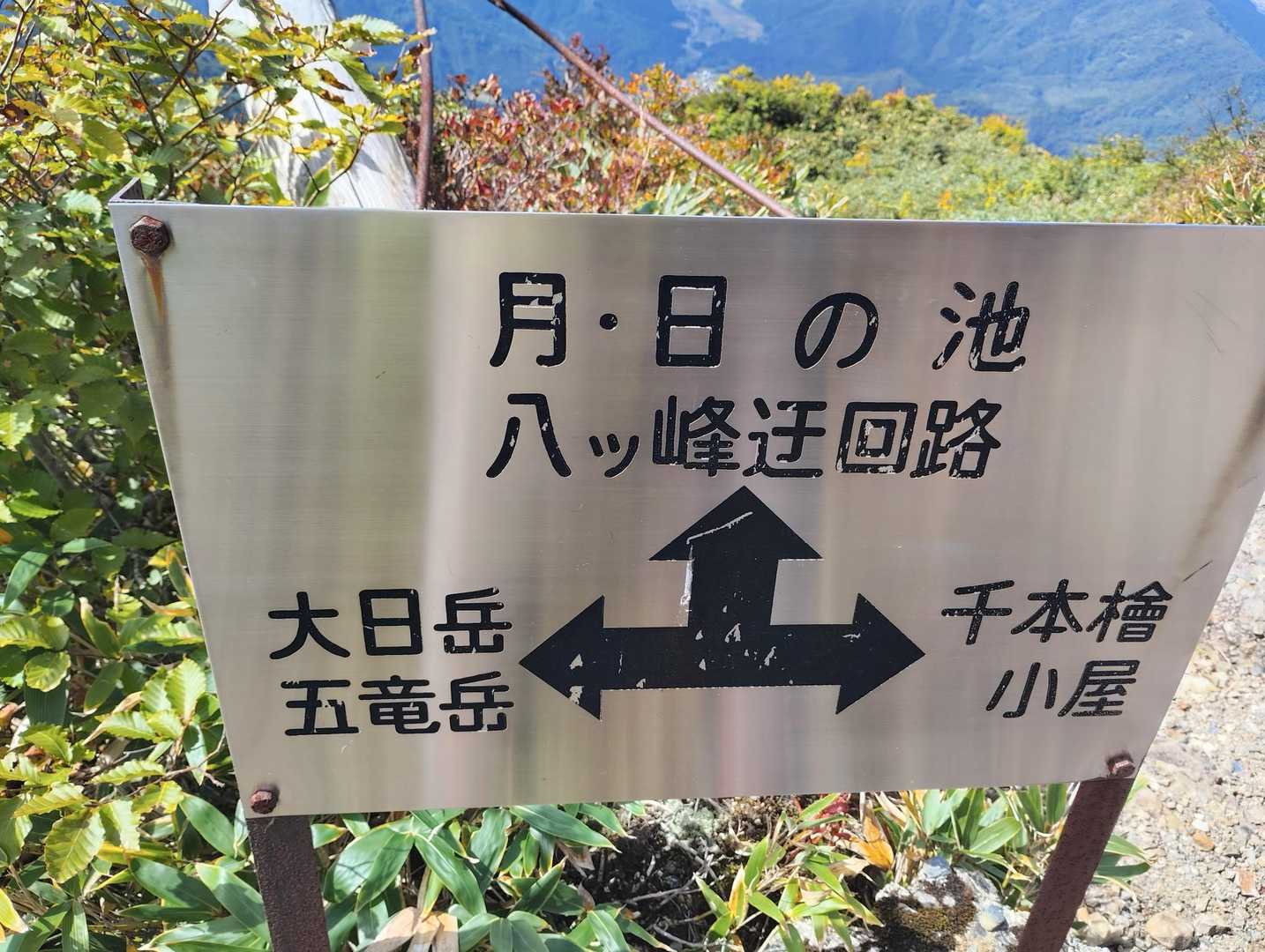山頂駅-大日岳 往復コースの写真