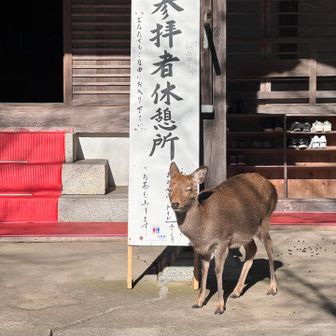 ええー参拝者休憩所はこちらですぅ💁‍♀️