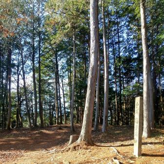 
城台山 【揖斐城 本丸跡】に 到着 です
本日 5座目 です
ここでの 眺望は ございません
