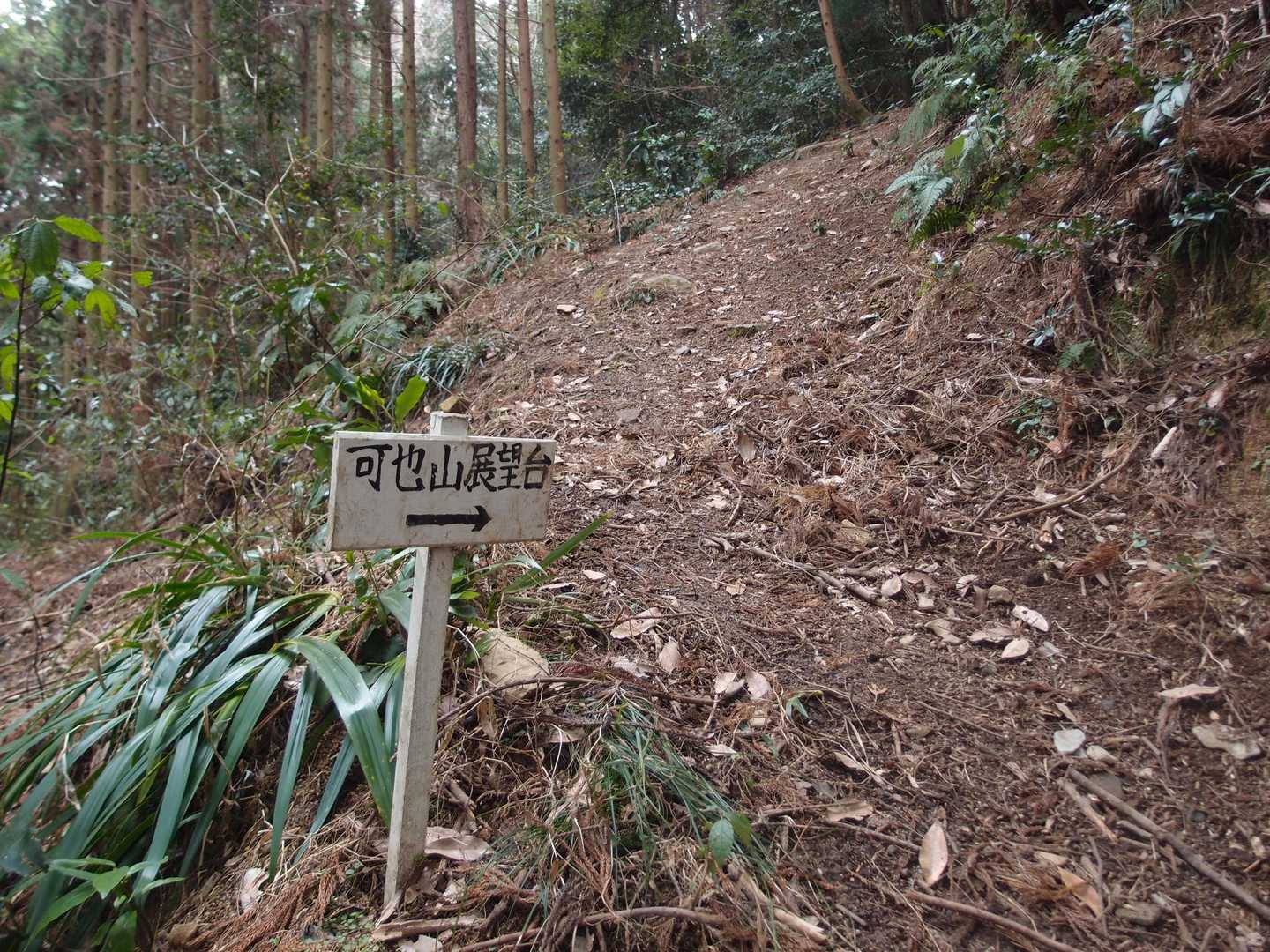 可也山展望台へ　ここから急登