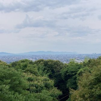 こちら南側⁇の眺め