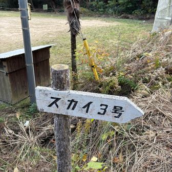 はじめましての、スカイ3号さん