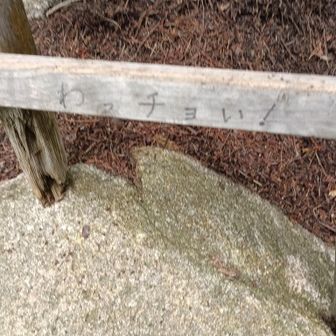 一段目に「わっチョい！」と応援してもらって慎重に…
左の縦棒？の一番下が写真の通り少々朽ちているのと石からカクンとズレていたのと（もちろん戻してから登りました）何段目だったか横棒のネジ？釘？がしっかり根元まで刺さっていなかったので慎重にです