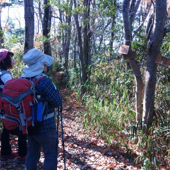 本日最後のピーク、サンドイッチ山。