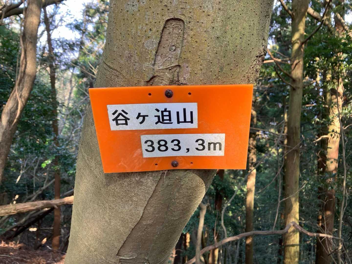 谷ヶ迫山頂きました
が、ここは国東60座じゃないんです