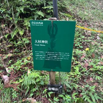 安場山入り口
チェーンがある