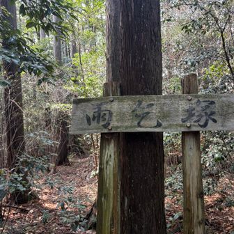 帰りはちょっと寄り道