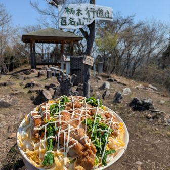 照り焼きにはマヨは欠かせないので
マヨビームをしましたが
マヨなしのが見映えがいいので
マヨなしをカバーに採用しました！笑