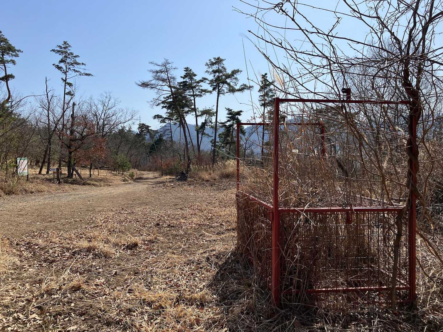 熊🐻⁉️
地元の方の話ではこの山にいないそうです😆