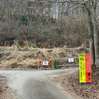キャンプ場の登山道はひだりがわの旧ルートの階段を使うみたいです♪