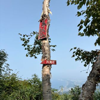 山頂の看板の樹。
枝が垂れ下がって見ずらいので（枯れていたので）処理してスッキリと。
三角点はあちらですよの標識もここに付けました。
（以前隊長が付た所は木々で見えなくなっていたので付け替えました）

