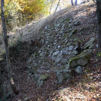 瓶割山城石垣遺構
この城は、観音寺城の当主六角高頼と戦うため、その従兄の六角政堯が築いた城で、当初は長光寺城と命名された
その後、いくつかの攻防を経て、観音寺城の支城となった
織田信長上洛後に、南近江平定のための拠点の一つとして用いられた。そして南近江残る六角氏の勢力と戦う為、柴田勝家が長光寺城に入り、この城を拠点に六角勢と戦った
長光寺城の戦いは、元亀元(1570)年6月に起こる。六角勢に取り囲まれ、水源を止められた勝家は、残った水が入った瓶を前に置き、この水が尽きて渇き死ぬよりも、力のあるうちに打って出ようと諭し水瓶を割った。この事により勝家勢は奮い立ち、背水の陣で六角勢に挑んで軍勢を撥ね退けた
この事により、柴田勝家は瓶割柴田と呼ばれるようになり、長光寺城も瓶割山城と呼ばれるようになったと云われる