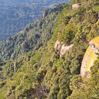 登って来た岩尾根