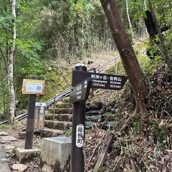 前回は登らずにここから下山